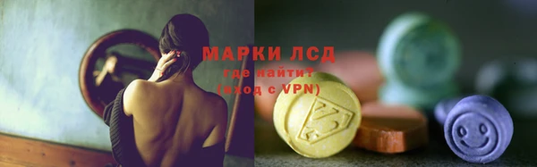 гидра Аркадак