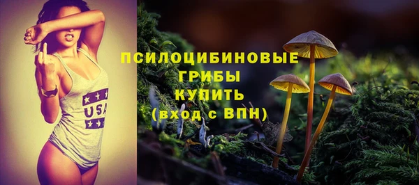 гидра Аркадак