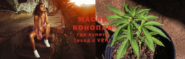 гидра Аркадак